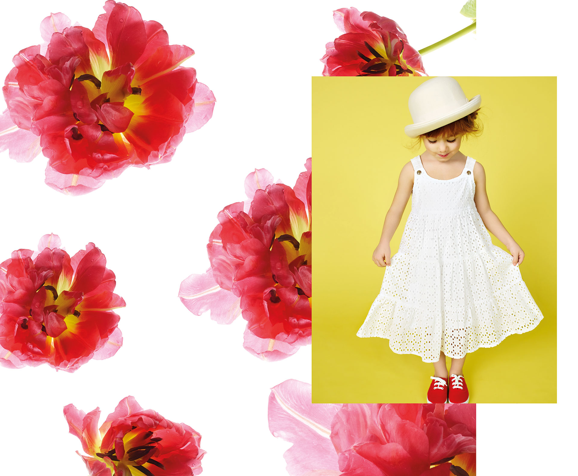 Alle Vecchi | Creative Director