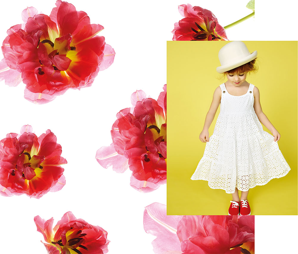 Alle Vecchi | Creative Director