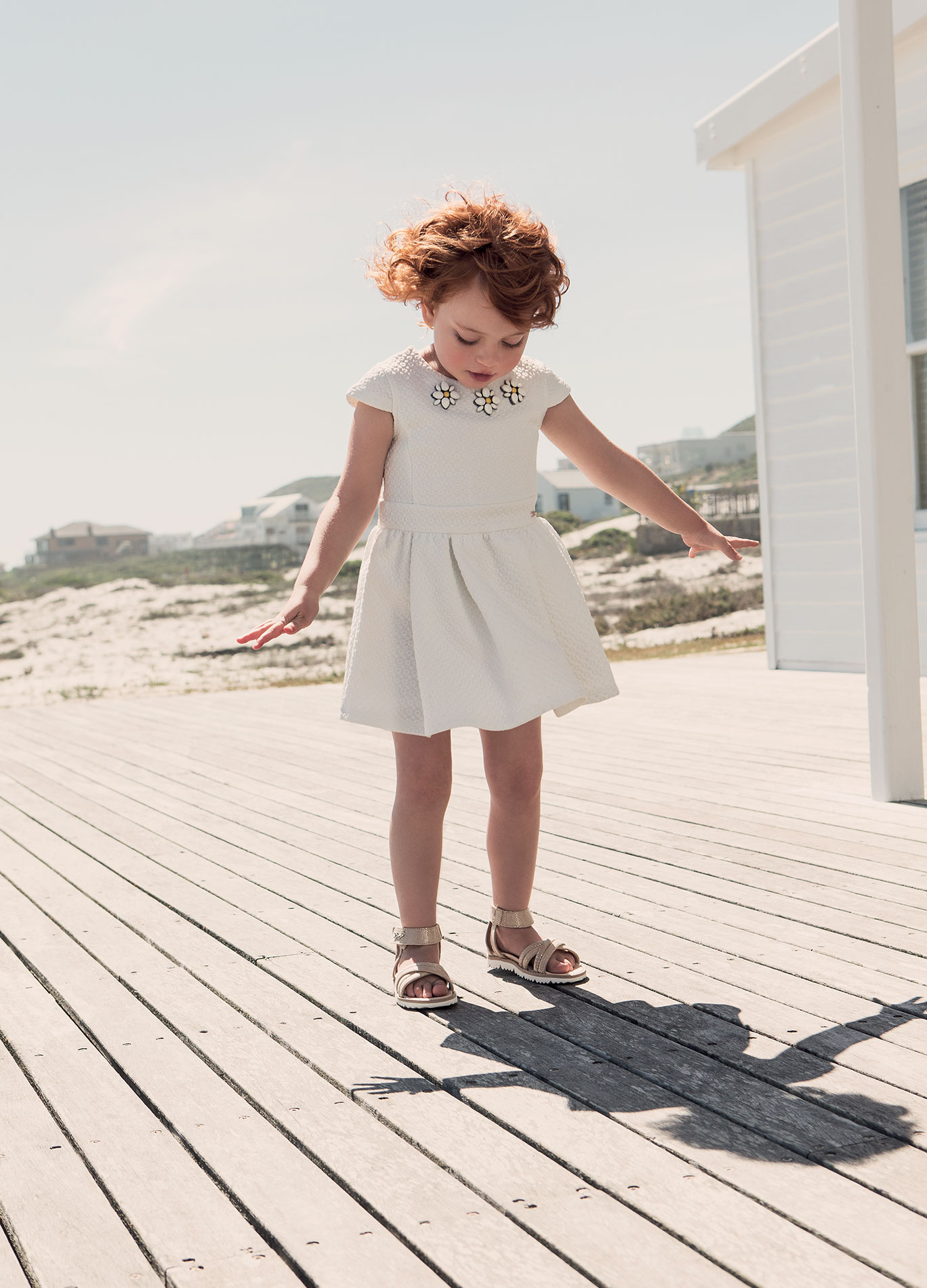 Alle Vecchi | Creative Director