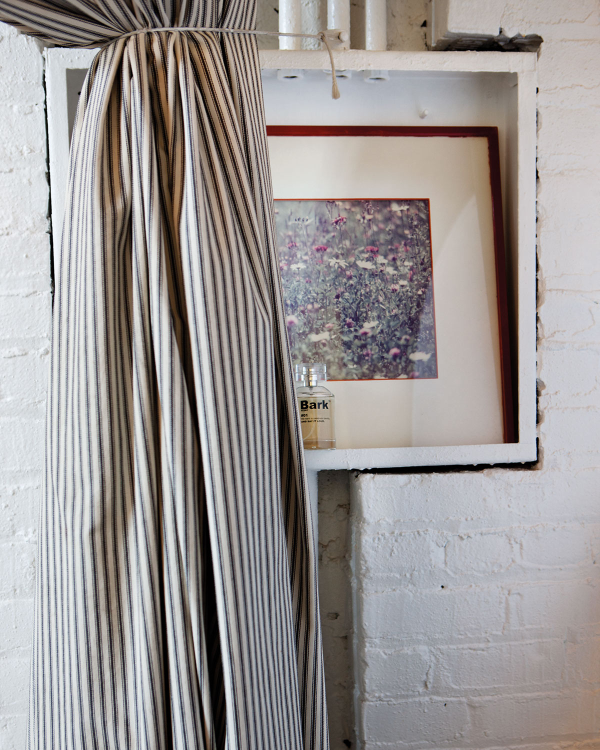 Alle Vecchi | Creative Director