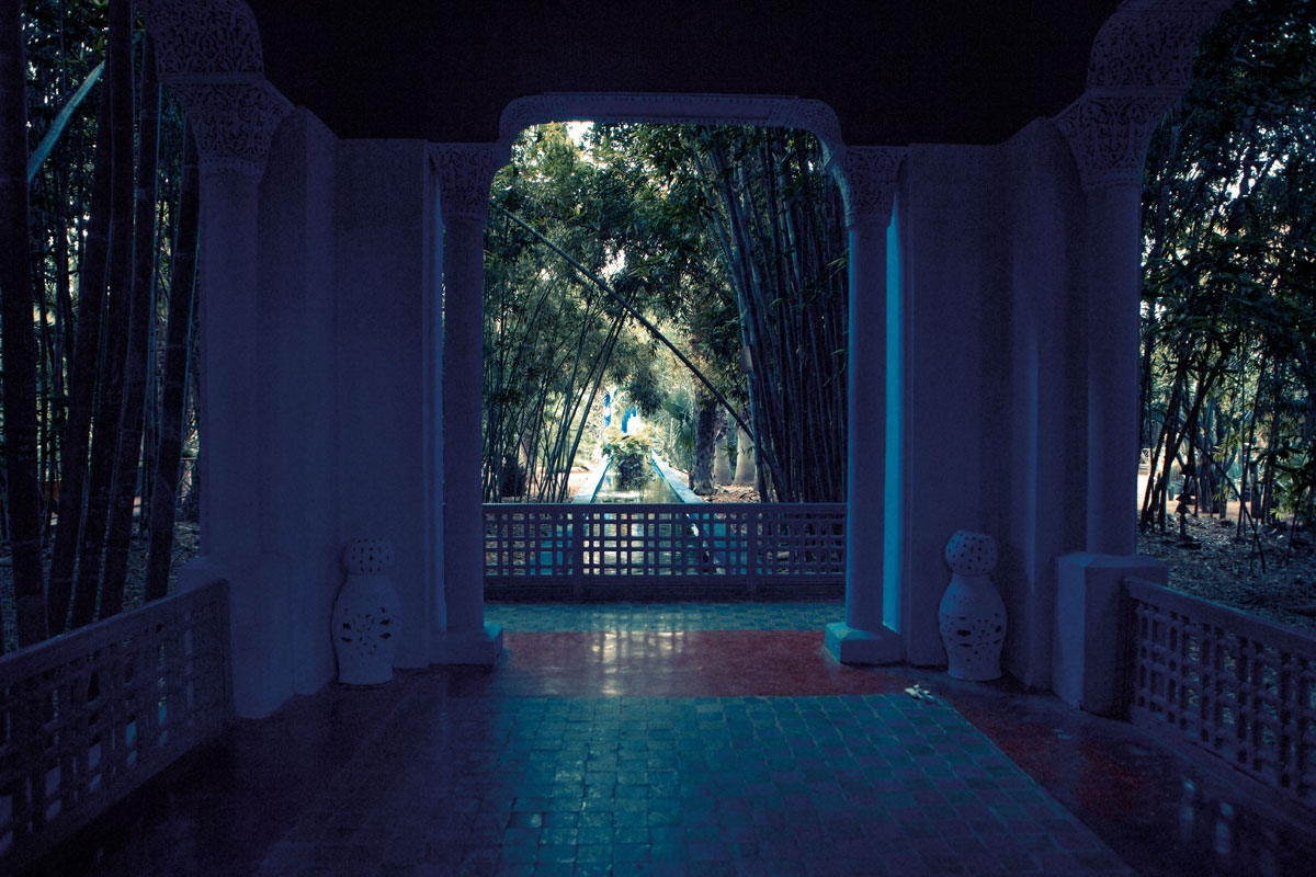 Alle Vecchi | Creative Director