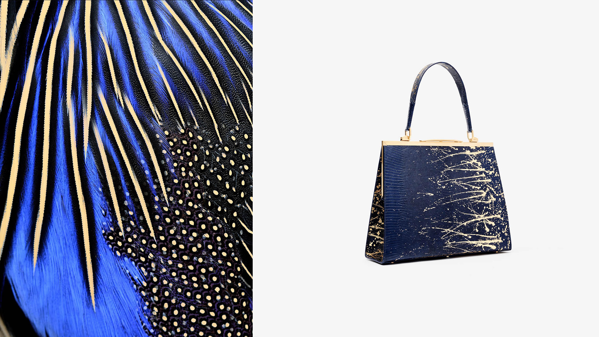 Alle Vecchi | Creative Director