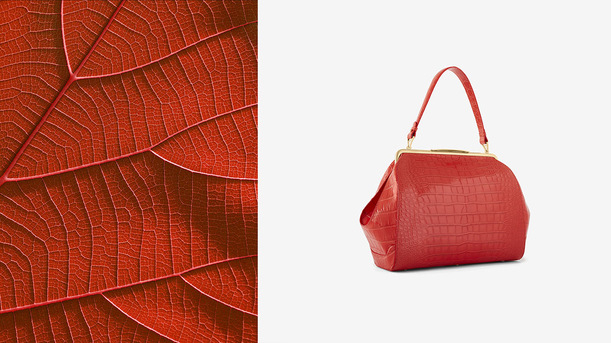 Alle Vecchi | Creative Director