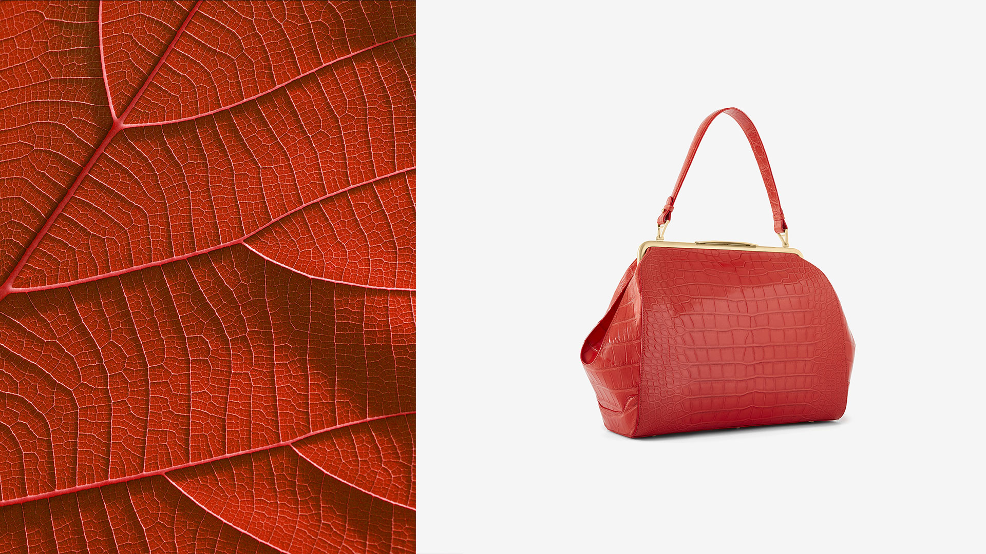 Alle Vecchi | Creative Director